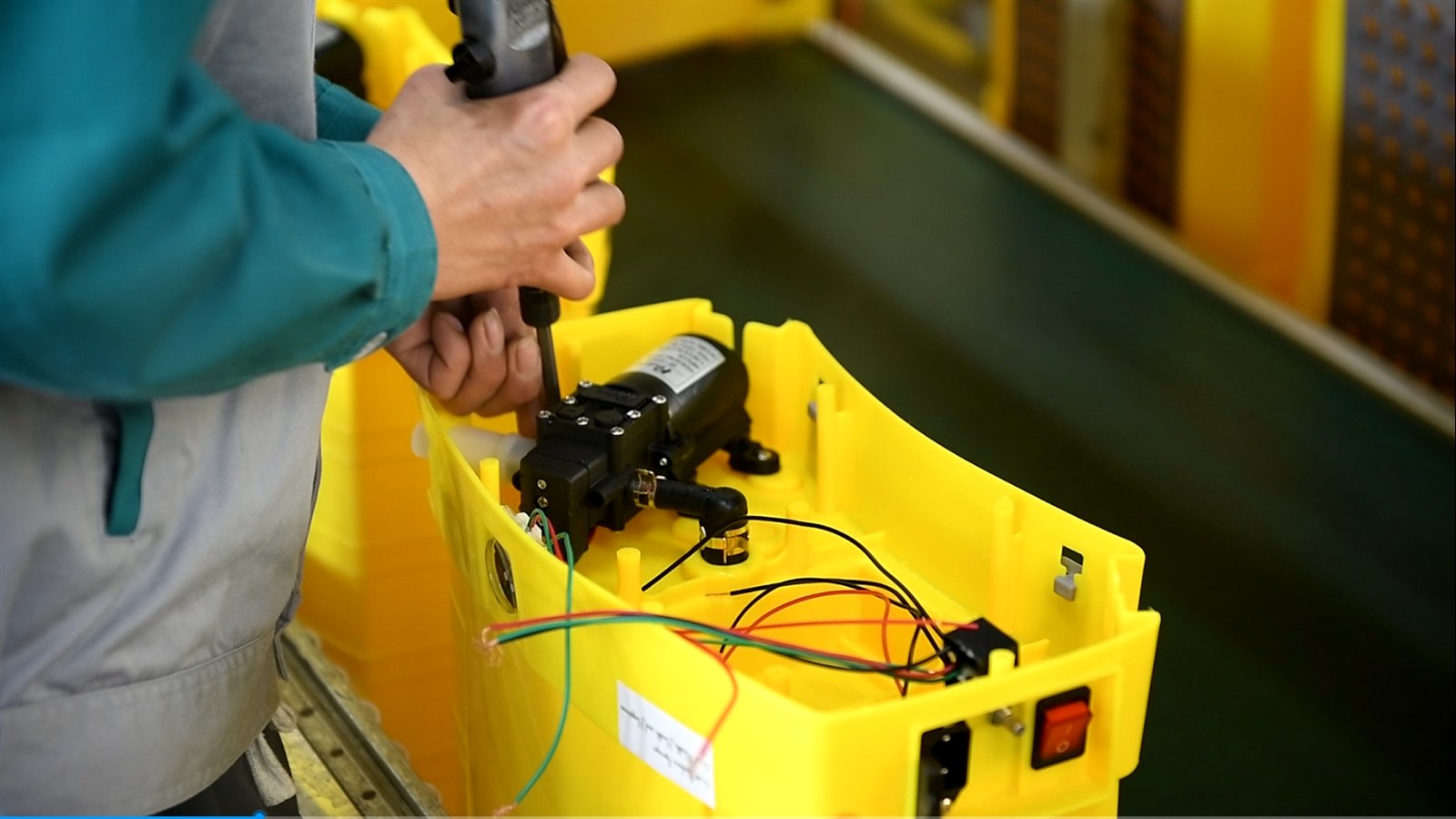 Inspection & Shipment