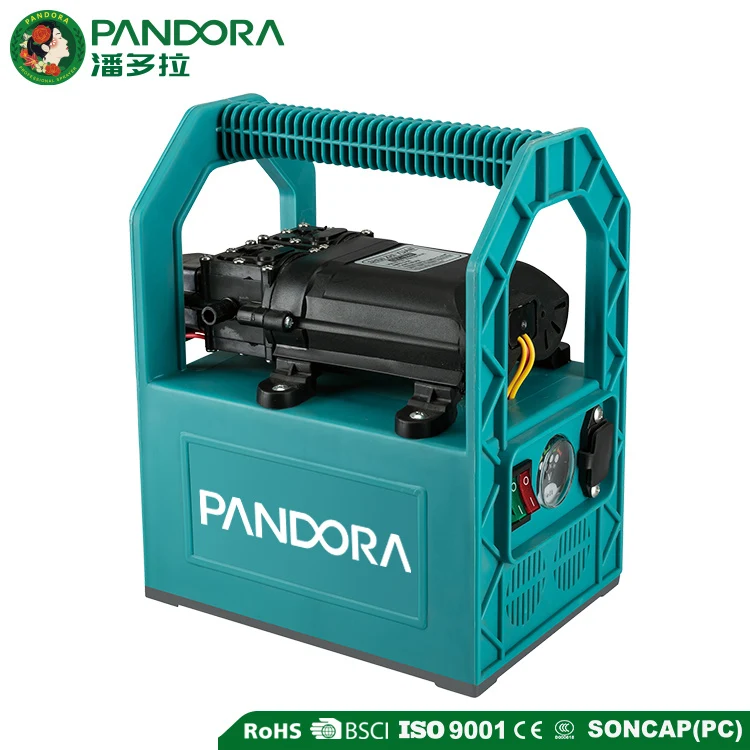 Portable Double Pump Electric Sprayer CF-EJ-A