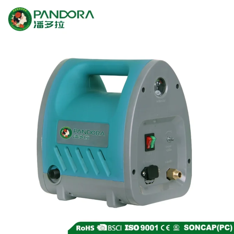 Portable Double Pump Electric Sprayer CF-EJ-C